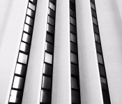 w_446CE129 w_446CE129